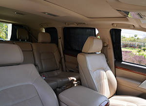 Car Curtains